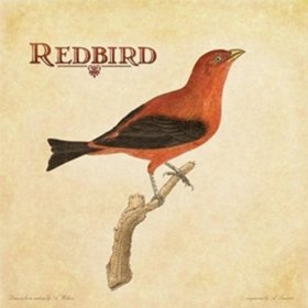 Redbird